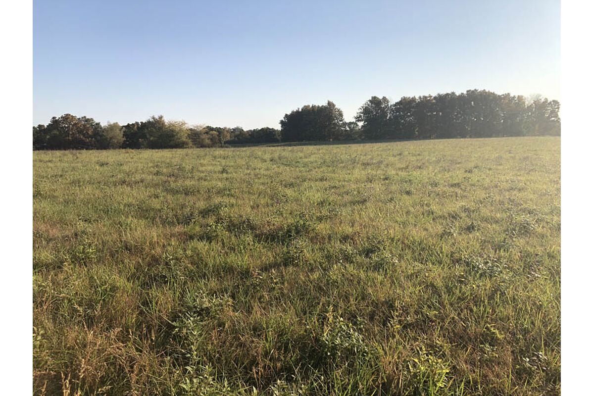 Tract 6