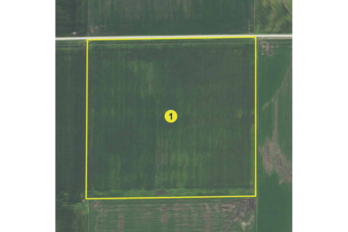T1 Aerial