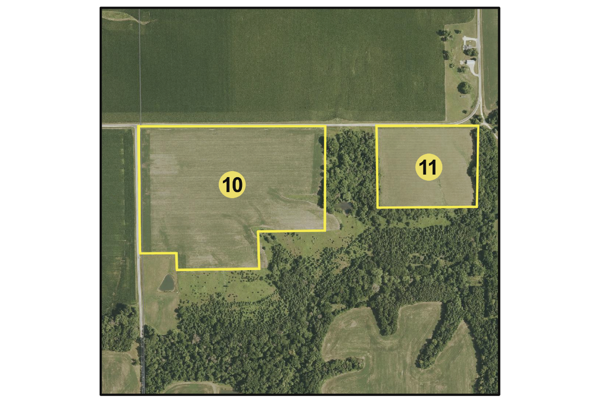 T10 & T11 Aerial